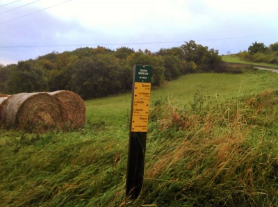 Rando Mercredi 8 octobre après midi